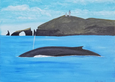 Anacapa Whale by Robert Gray