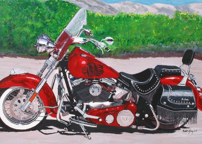 Indian Chief painting by Robert Gray